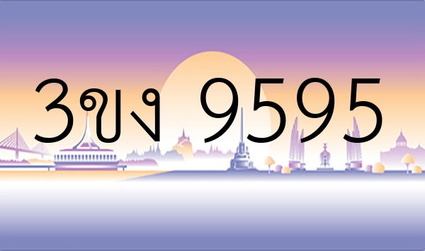 3ขง 9595